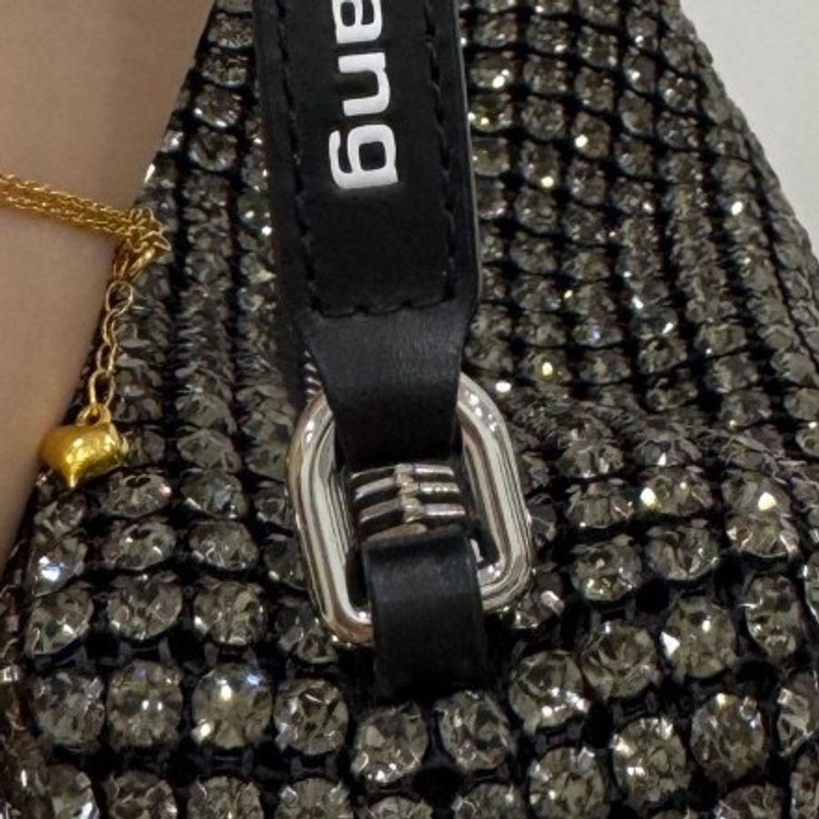 Alexander Wang 亞歷山大王 鑽石 水鑽 滿鑽 手提包 肩背包 腋下包 斜背包 小廢包-28