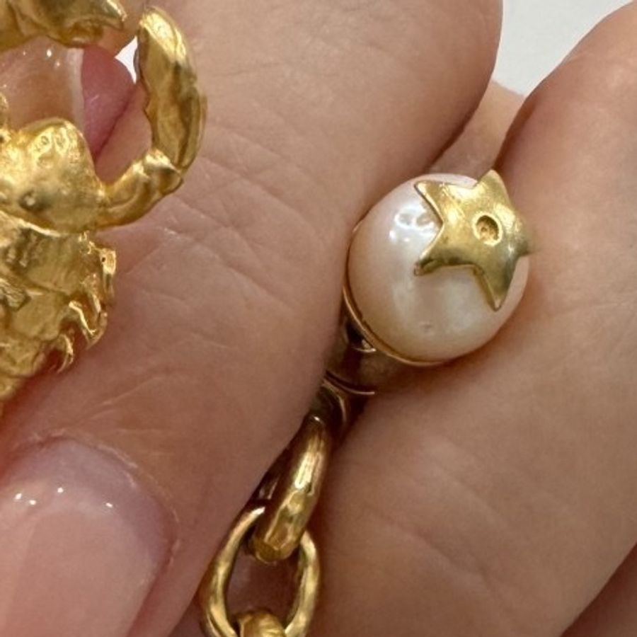 DIOR E Tribales T=EAH 環 ZODIADDICT earrings Scorpio天蠍座 耳環 耳針-12
