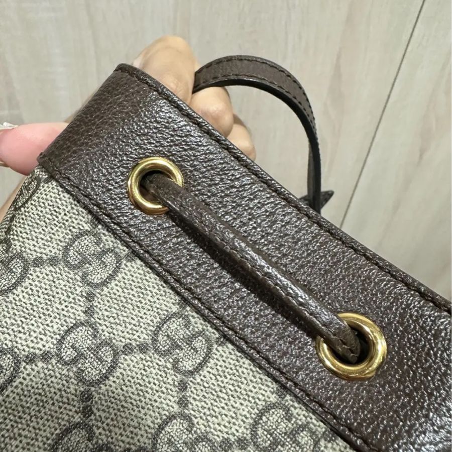 Gucci 老花水桶包 mini-3