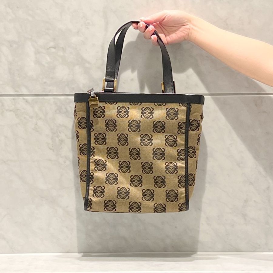 LOEWE稀有小琴譜手提側肩包 贈金屬鏈條肩帶 中古Vintage-0