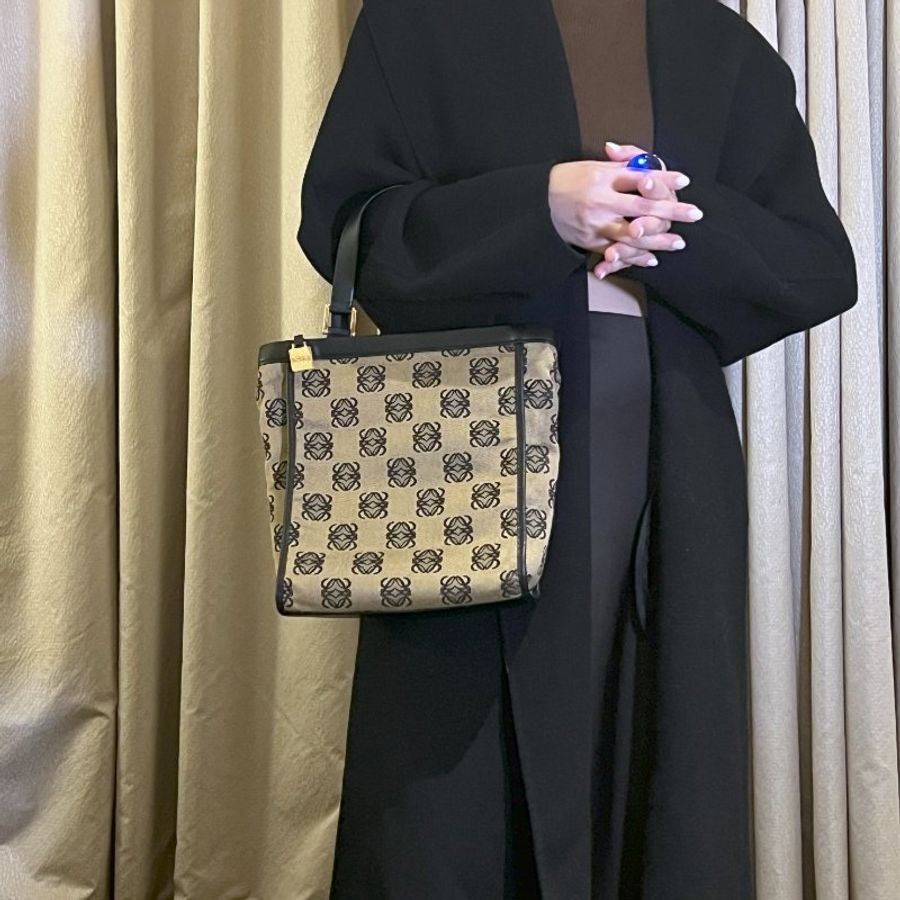 LOEWE稀有小琴譜手提側肩包 贈金屬鏈條肩帶 中古Vintage-1