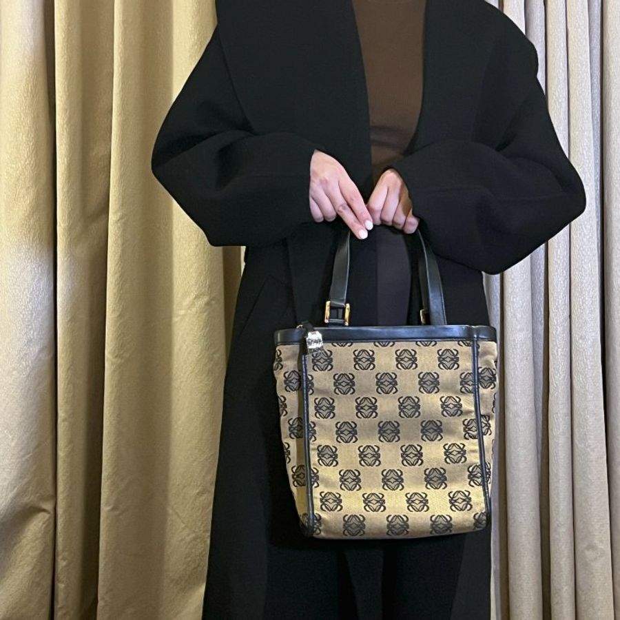 LOEWE稀有小琴譜手提側肩包 贈金屬鏈條肩帶 中古Vintage-6