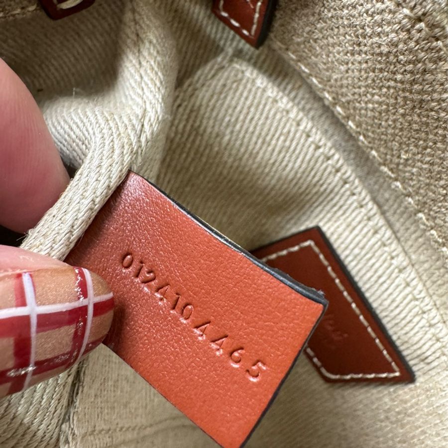 Chloe Woody tote bag 帆布迷你兩用-16