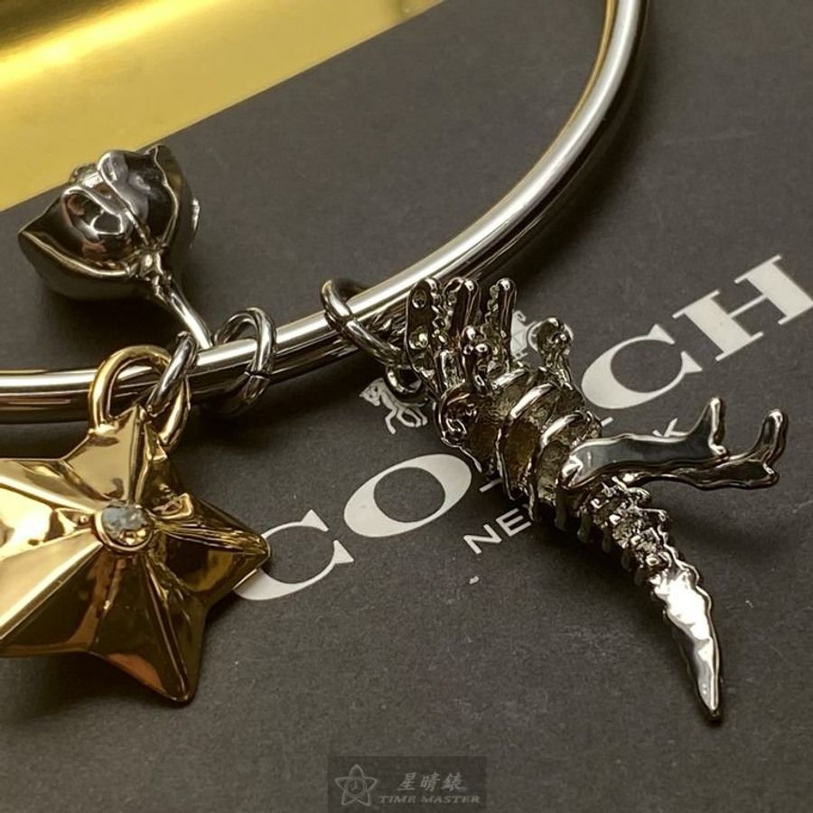 COACH手錶,編號CH00082,36mm銀圓形精鋼錶殼,白色簡約, 中二針顯示錶面,銀色精鋼錶帶款,套裝精品更划算-8