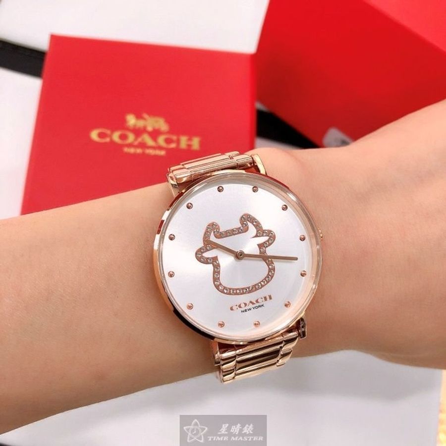 COACH蔻馳女錶,編號CH00018,36mm玫瑰金圓形精鋼錶殼,白色牛牛鑽錶面,玫瑰金色精鋼錶帶款,股市牛市好運到!-2
