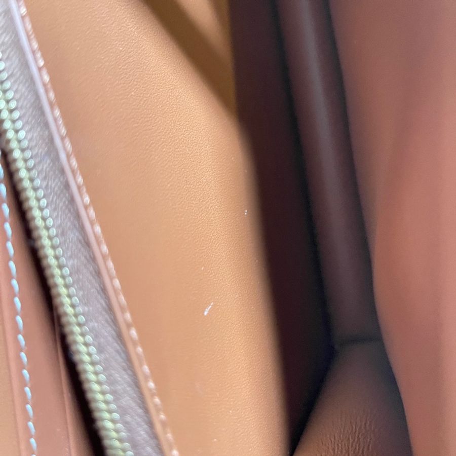 Celine經典印花牛皮大WOC-19