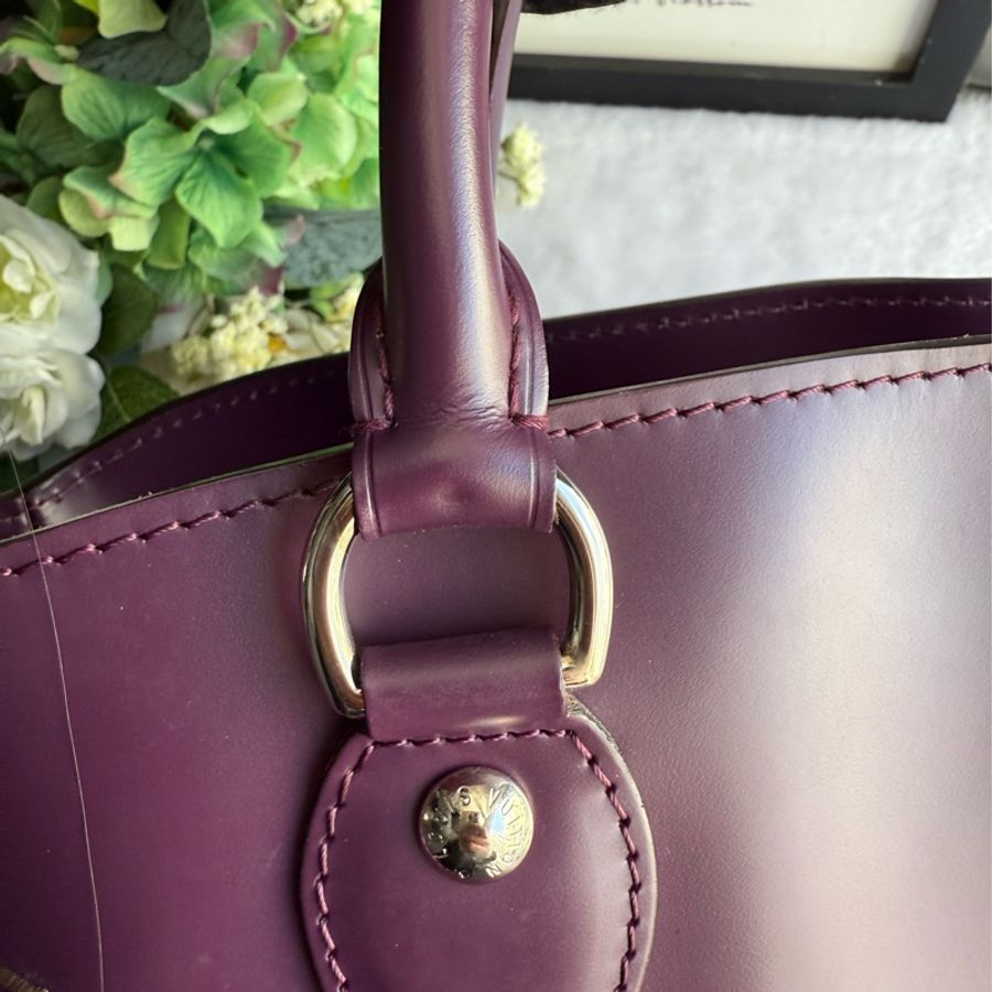 Louis Vuitton Passy PM EPI 水波紋皮革手提包(黑醋栗色)-13