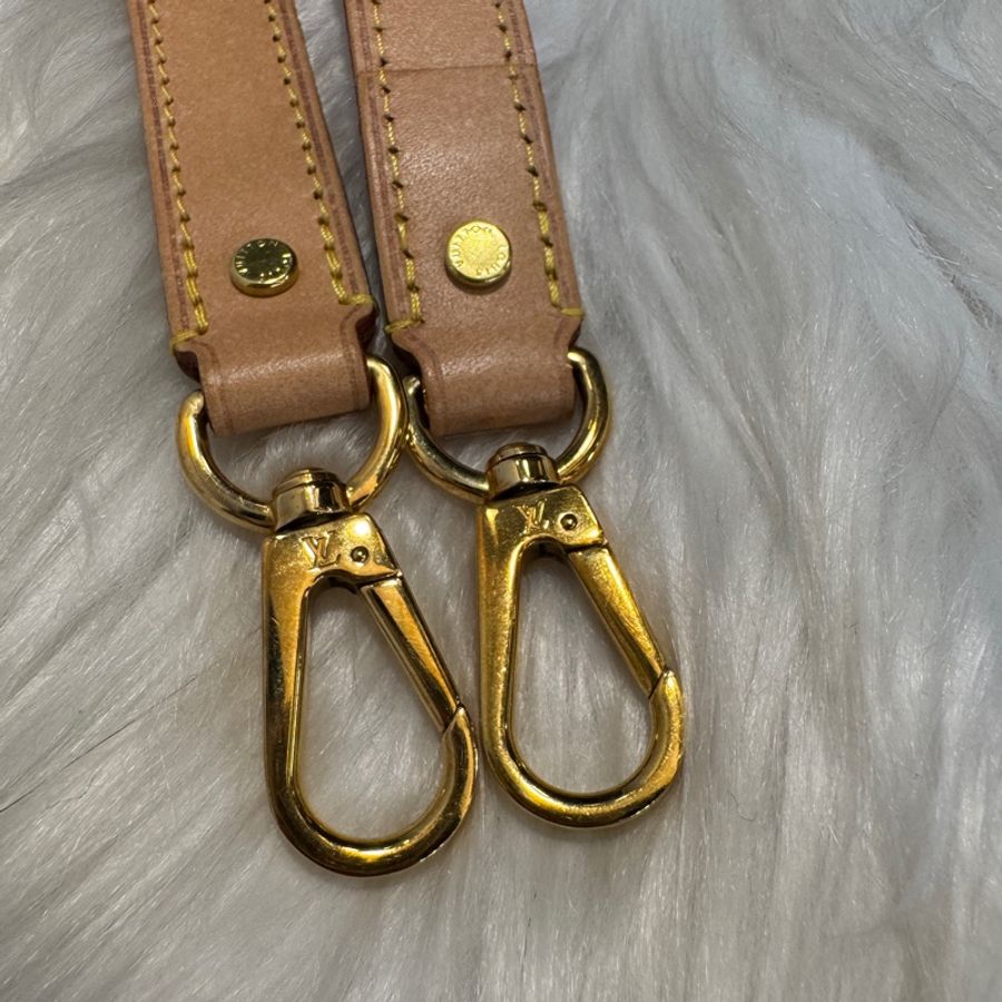 LV BuffleBag 老花薯條包 M43587-7