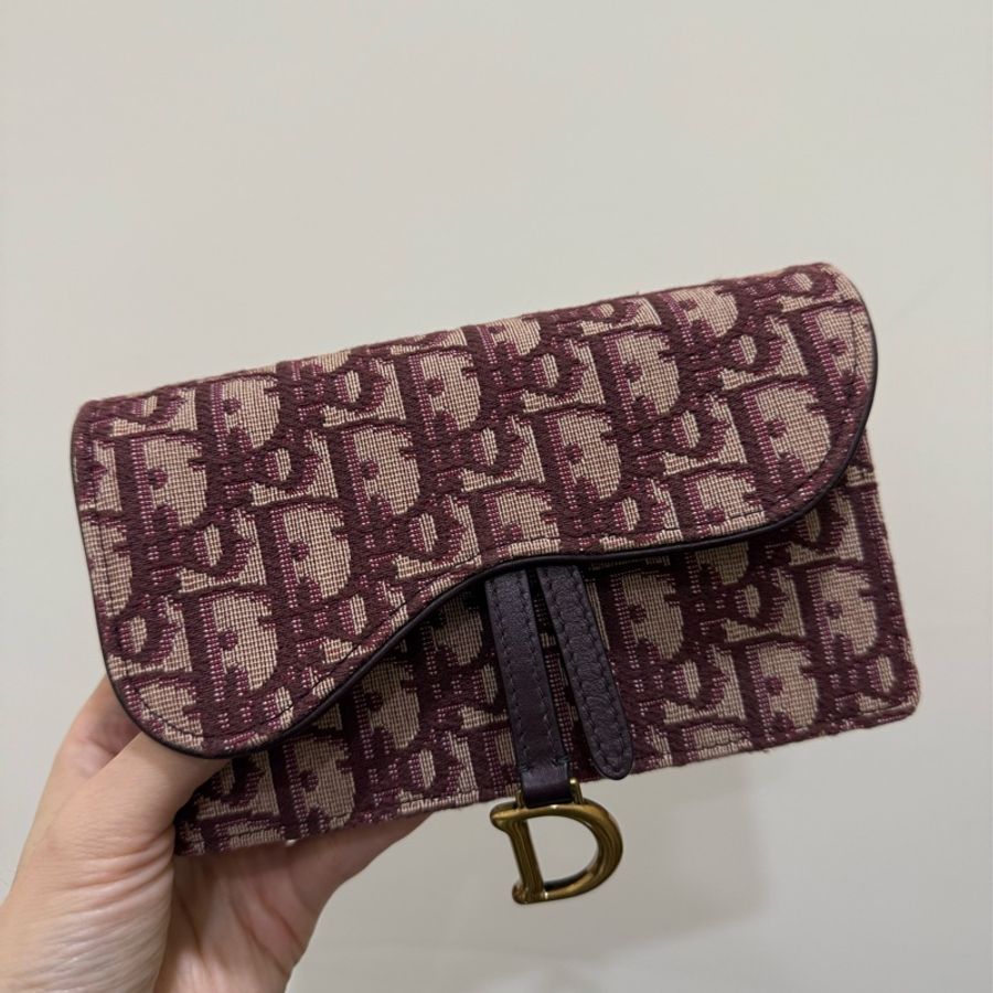 Dior Saddle附手拿包腰帶-1