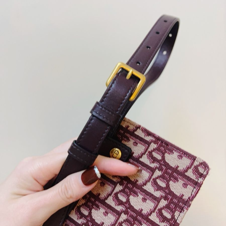 Dior Saddle附手拿包腰帶-2