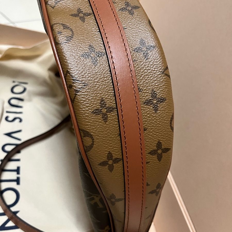 LV Loop hoop大月亮包-2