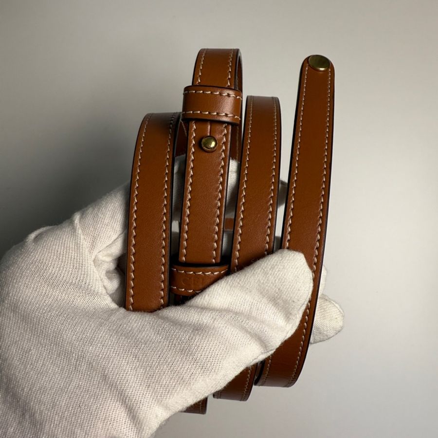 Celine Mini Triomphe 老花凱旋門金釦斜背包-9