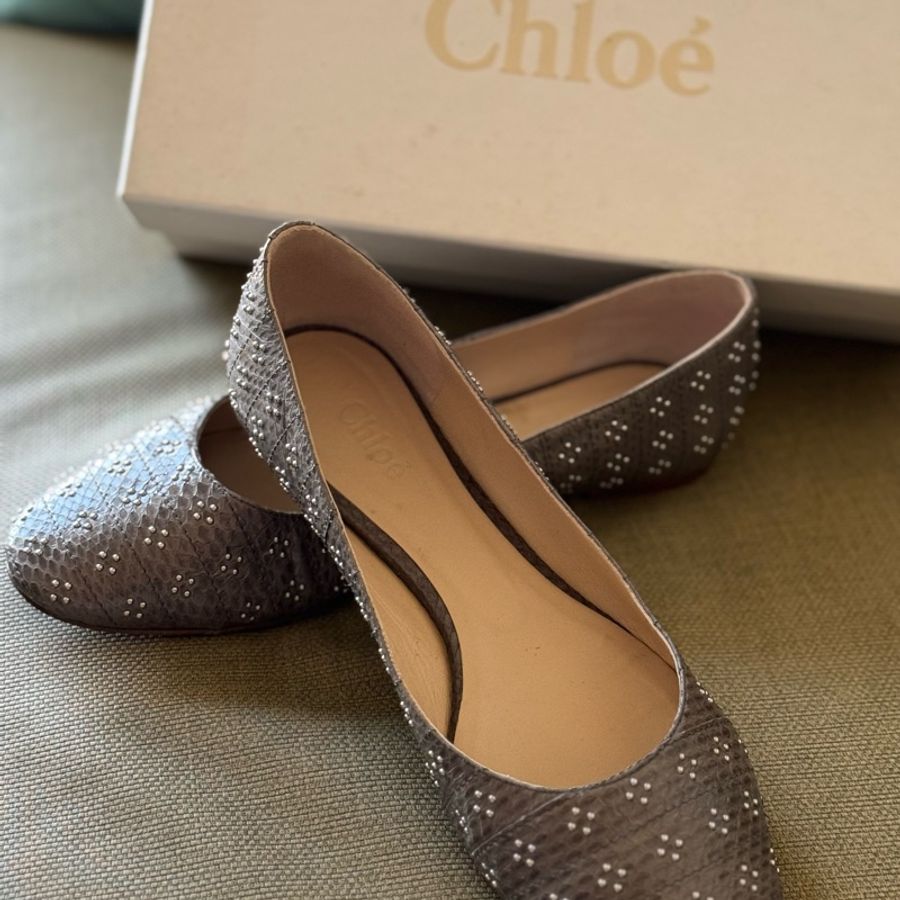 Chloe蛇皮平底鞋-4