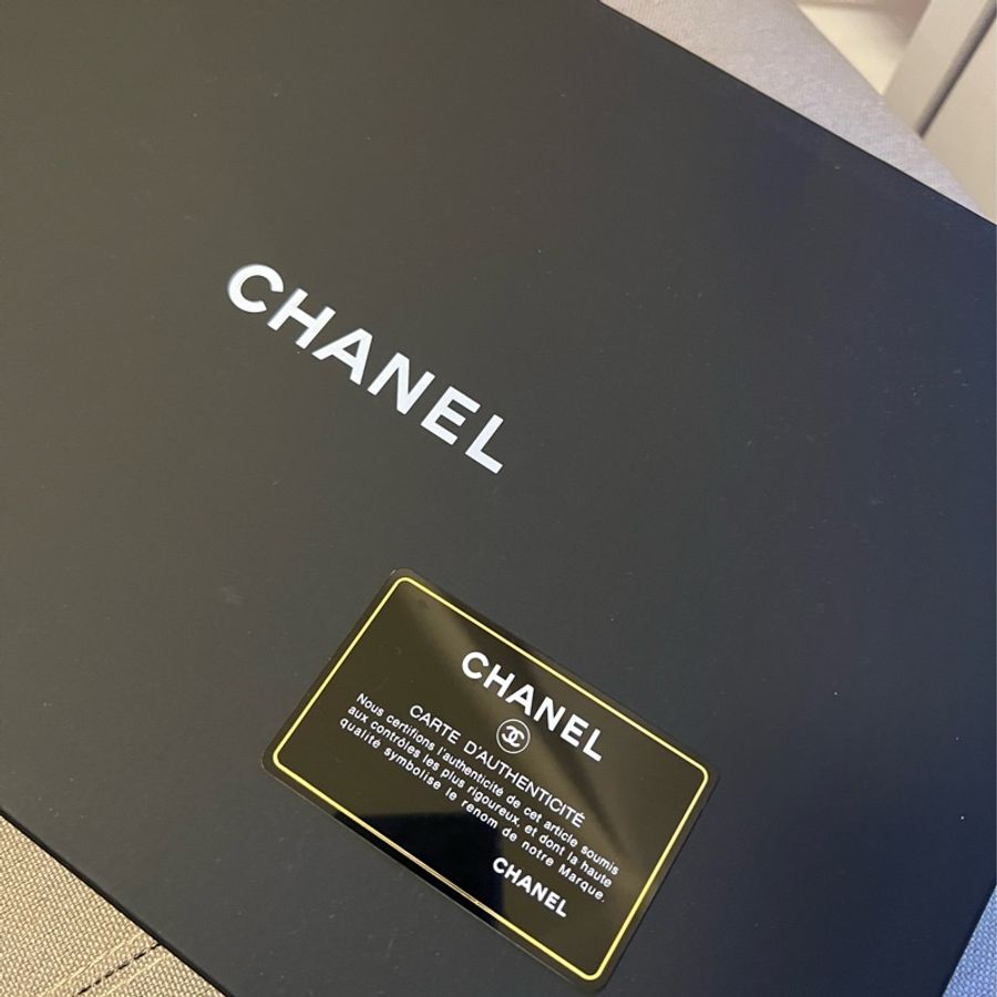 Chanel O-Case Large-2