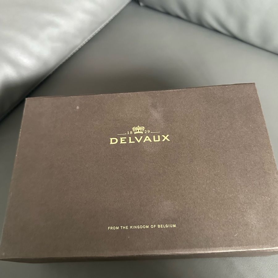Delvaux Brillant WOC 焦糖色-13