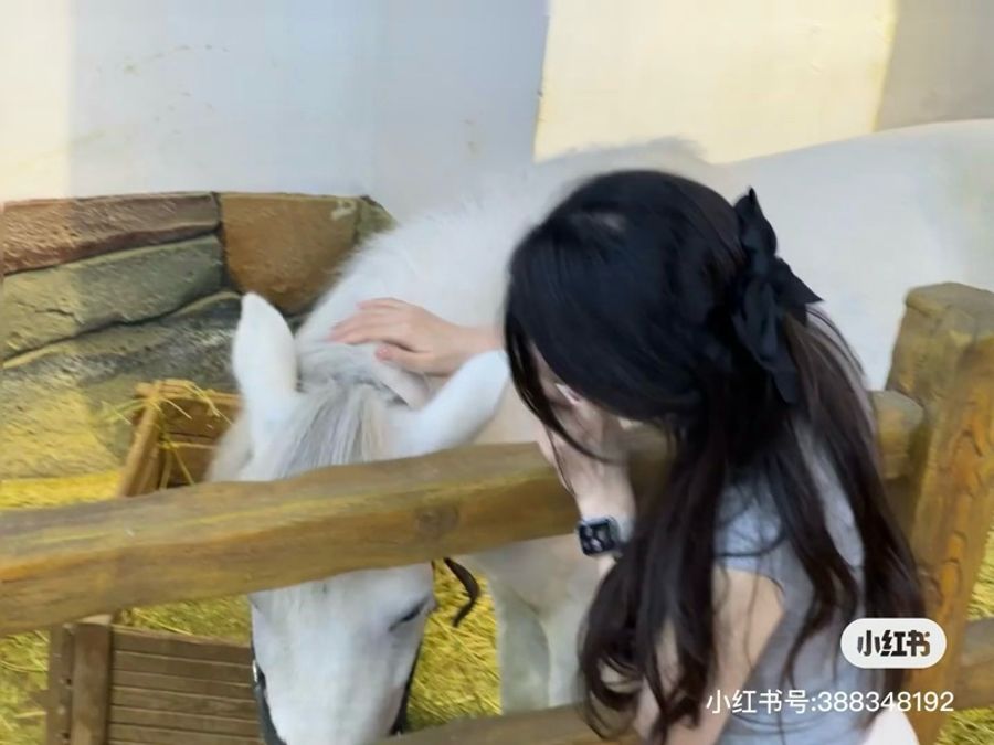 chanel 香奈兒 黑色 蝴蝶結 別針 髮夾 髮飾 飾品 胸針 Jennie 同款-11