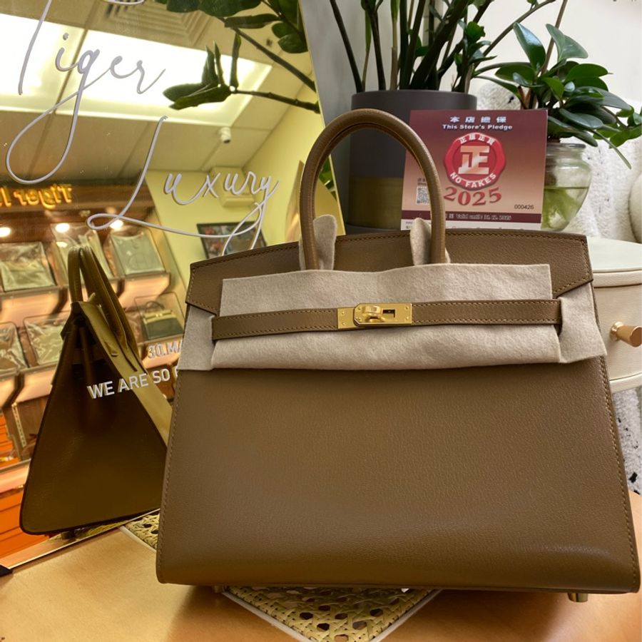 🐯 Hermes Brikin 25古銅色-1