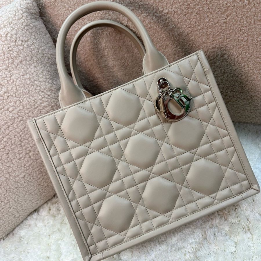 全新‼️Dior Small Book Tote Powder Beige M1325OWHPM51U淺粉色 小號-0