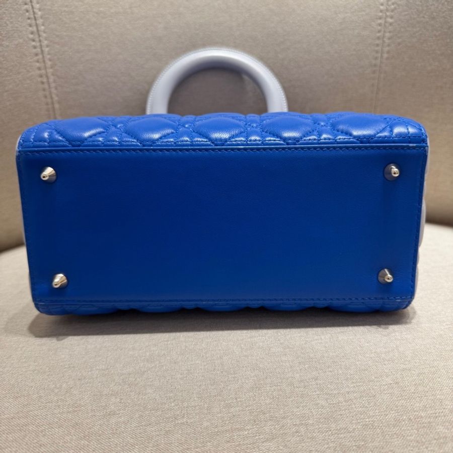Lady Dior-14