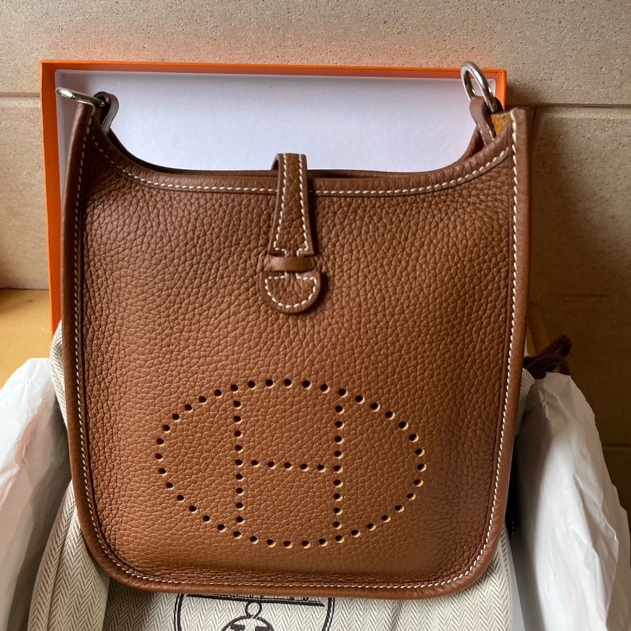 Hermes mini evelyn-5
