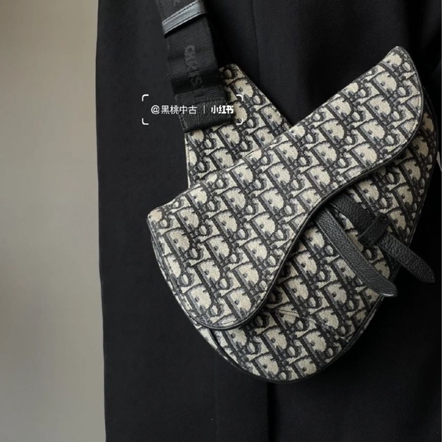 🈶專櫃購證Dior Saddle刺繡老花馬鞍包 芯片款 全配99🆕-10
