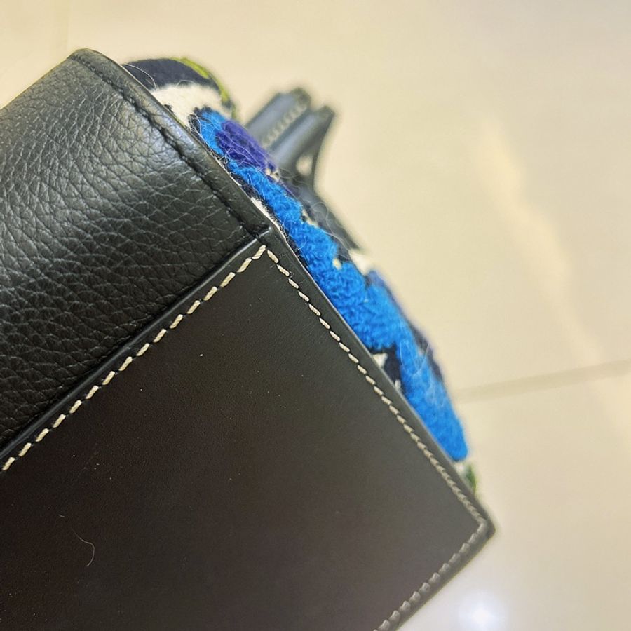 Loewe迷你稀有刺繡吊床包_正常使用中-7
