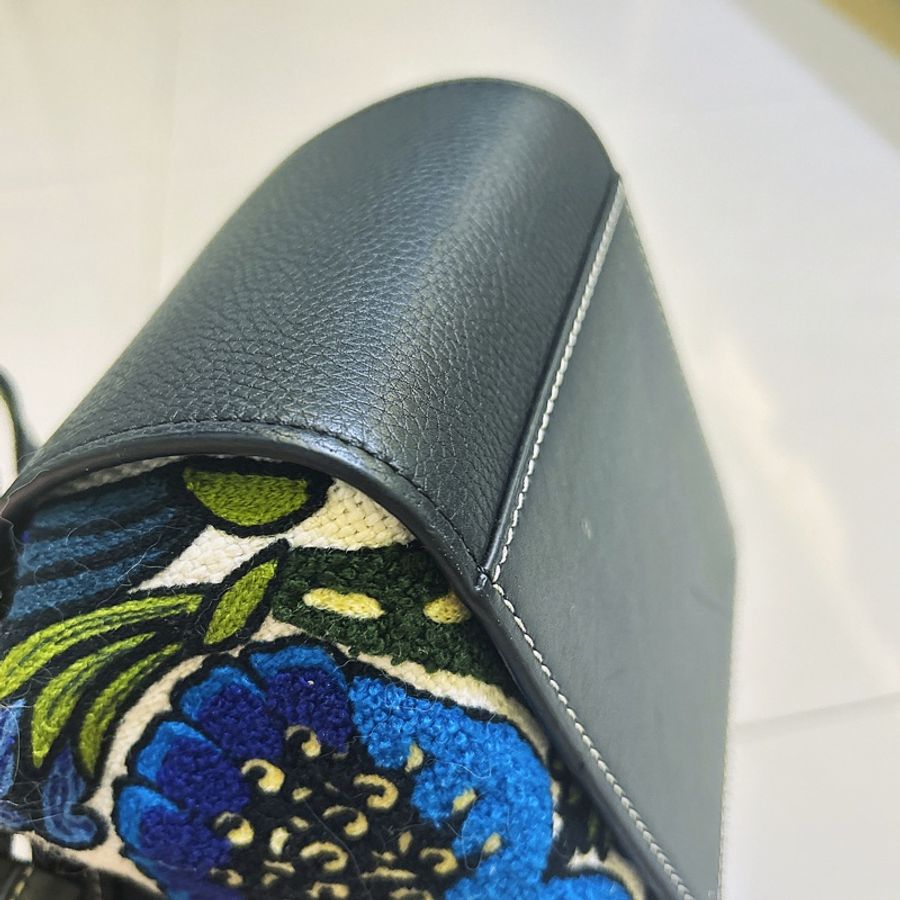 Loewe迷你稀有刺繡吊床包_正常使用中-8