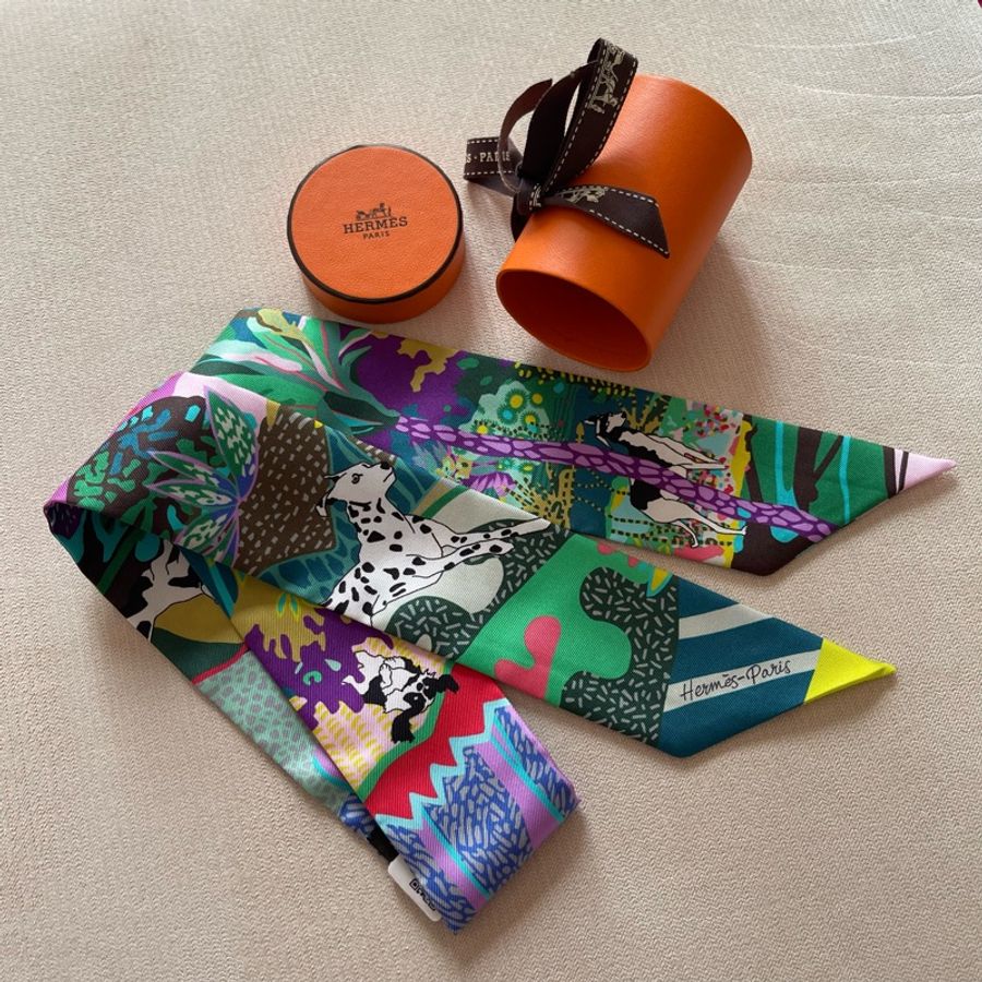 Hermes Silk Twilly 小絲巾🍊En Liberte 自由之城-2