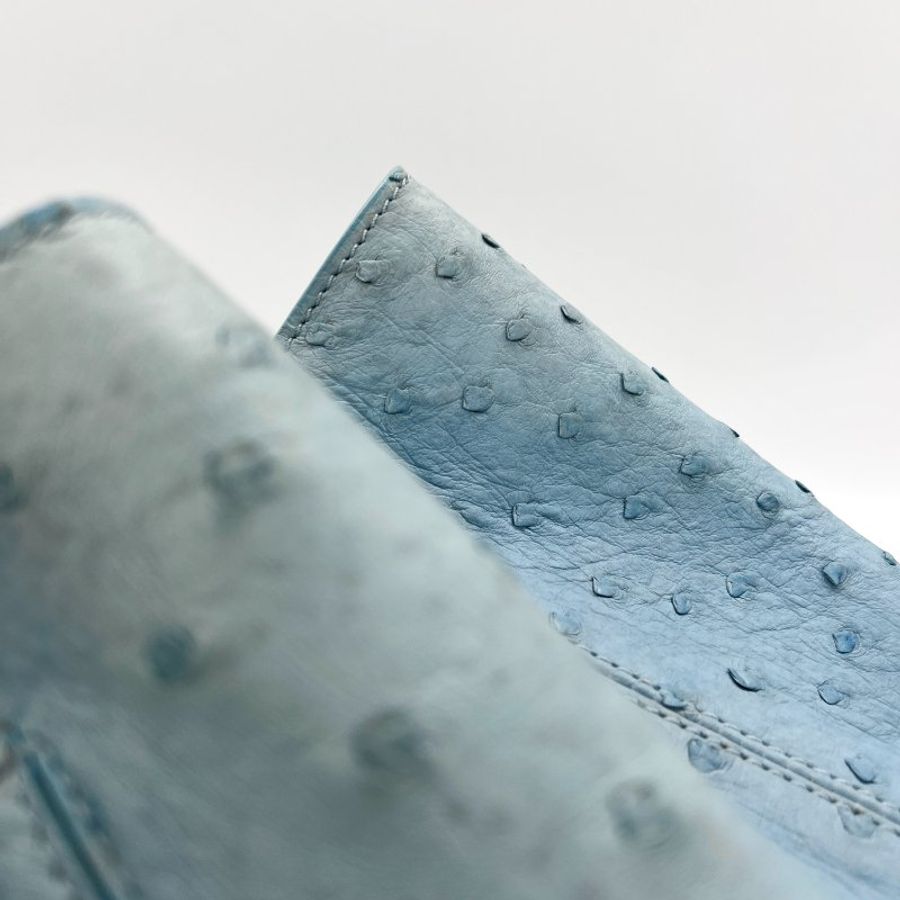 Loro Piana 鴕鳥皮手提包-12
