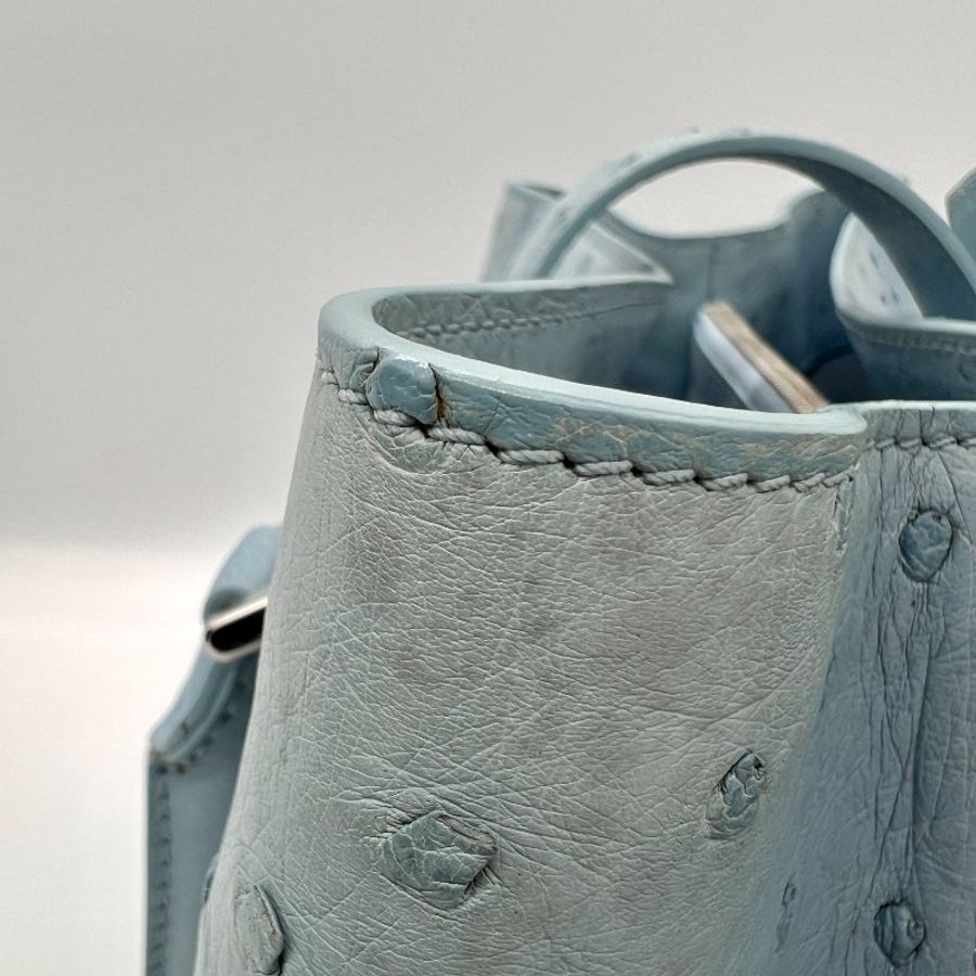 Loro Piana 鴕鳥皮手提包-15