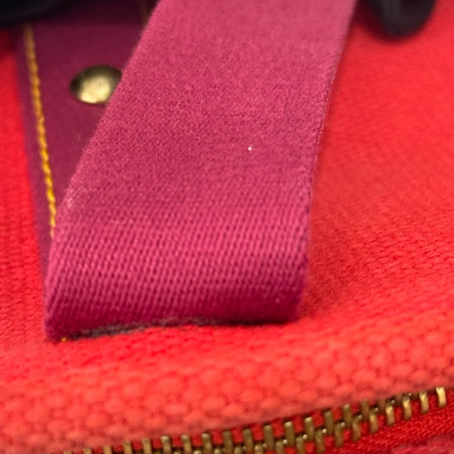 Louis Vuitton 小號帆布胭脂手提包-29