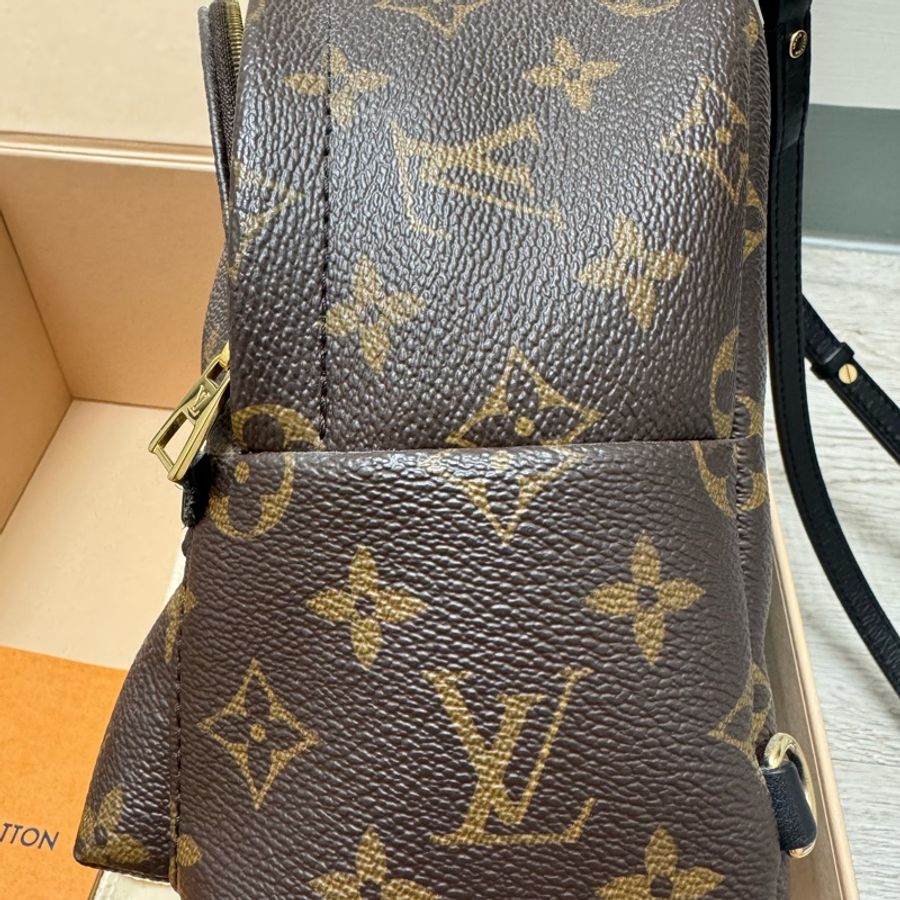 LV Palm Springs Mini迷你小背包-4