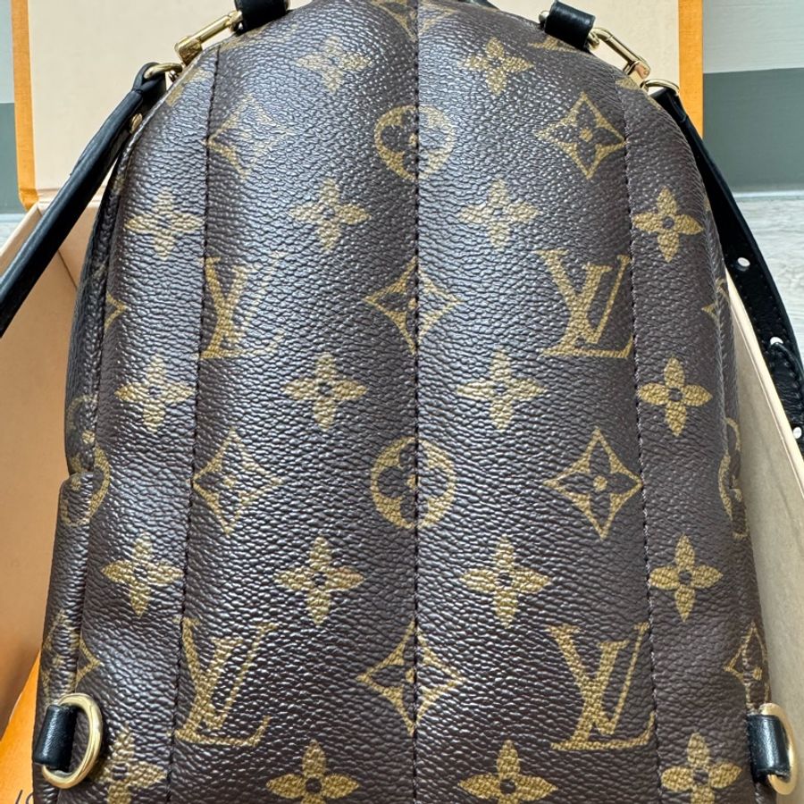LV Palm Springs Mini迷你小背包-5