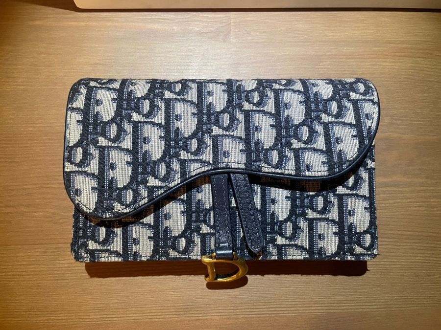 DIOR Saddle 腰包 胸包 小包-1