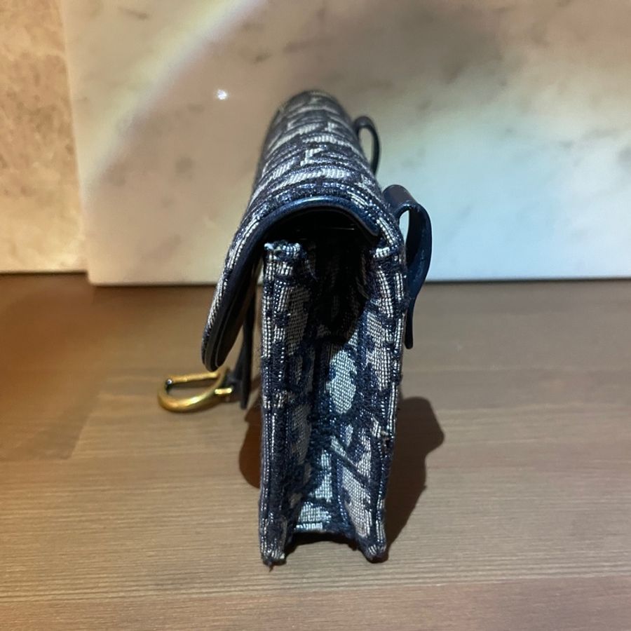 DIOR Saddle 腰包 胸包 小包-3