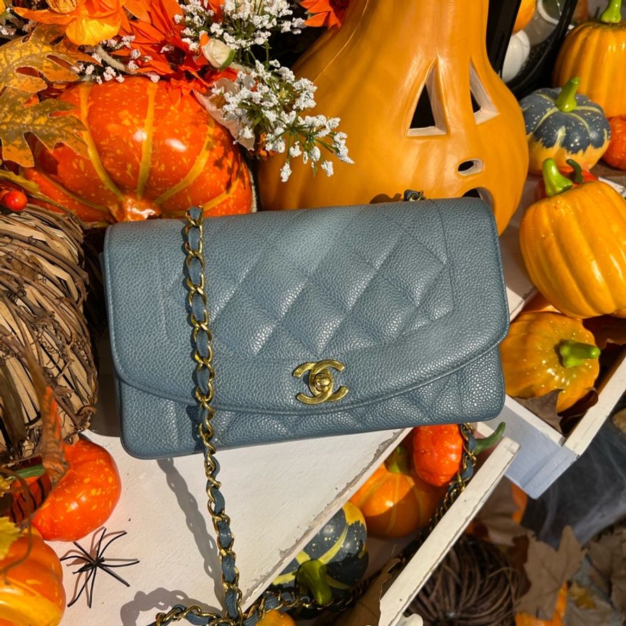 Chanel 香奈兒 荔枝皮 魚子醬 嬰兒藍色 baby blue caviar Diana 小號 22cm 戴妃包 中古-1