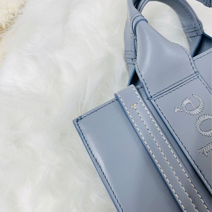 Chloe tote bag-9