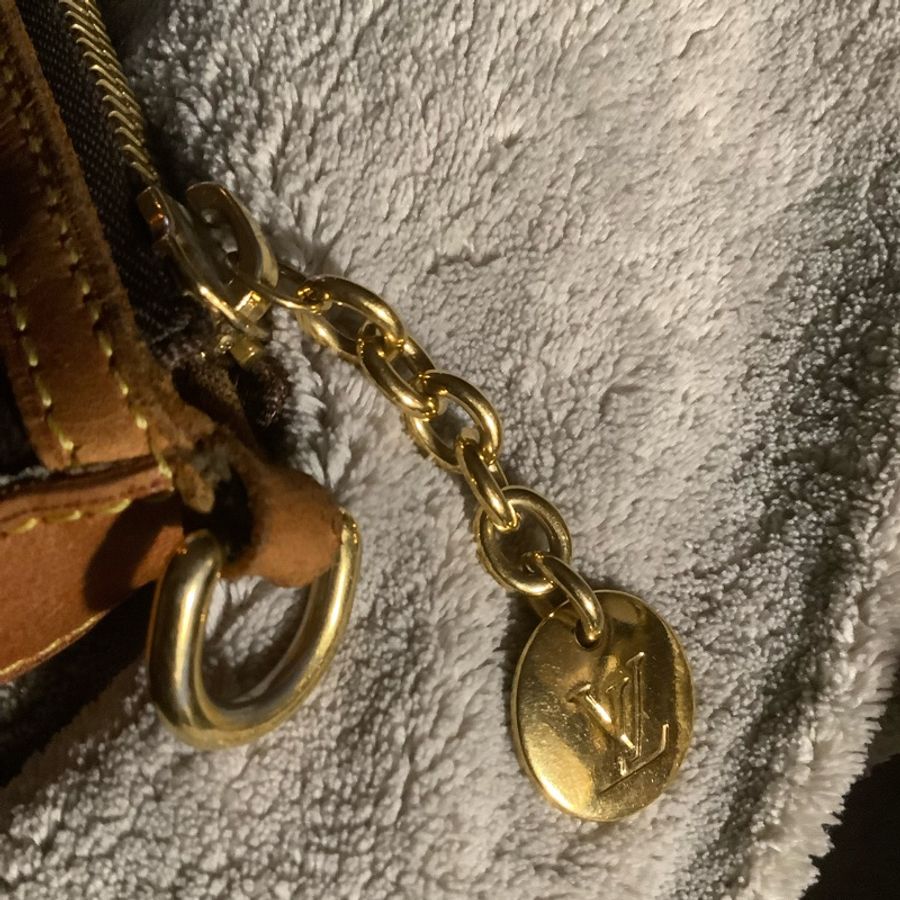 LOUIS VUITTON 老花水餃包 托特包手提包M40145-29