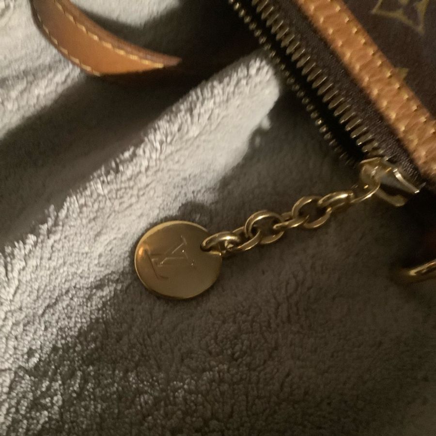 LOUIS VUITTON 老花水餃包 托特包手提包M40145-31