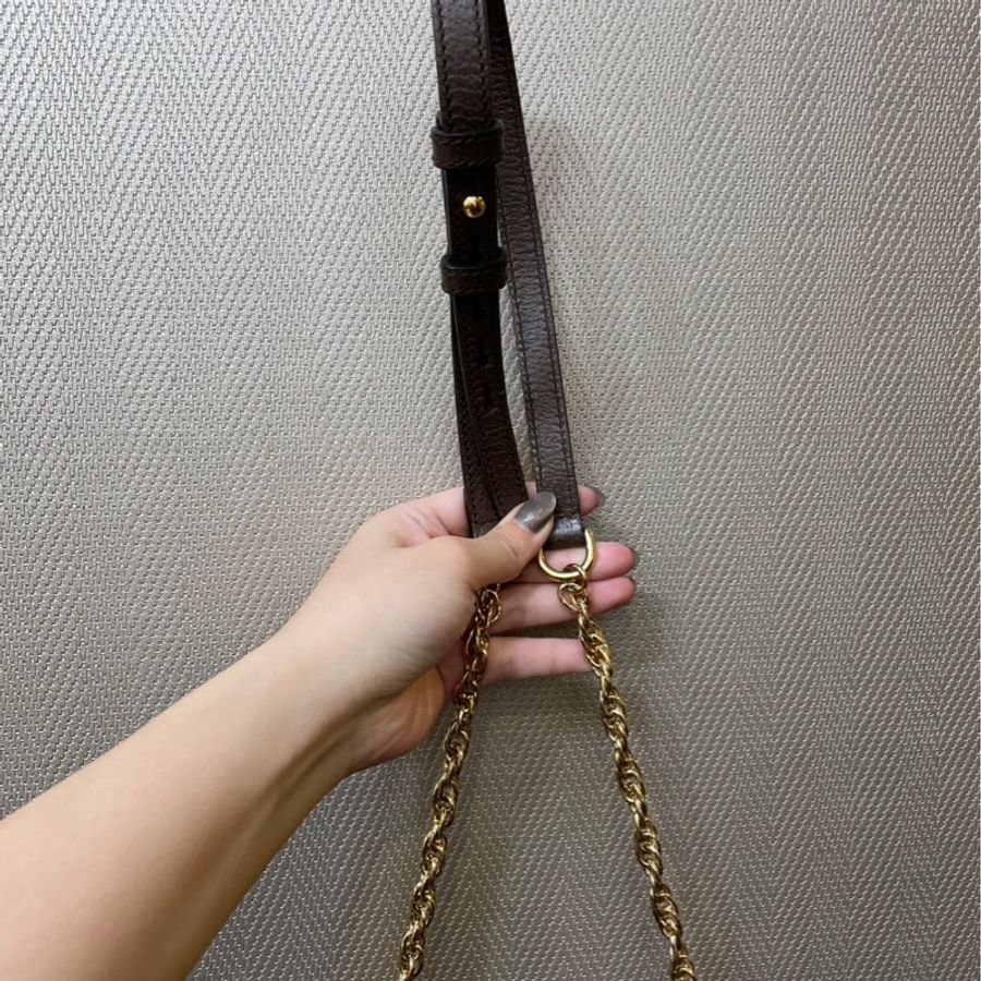 Gucci PVC手提斜背包-9