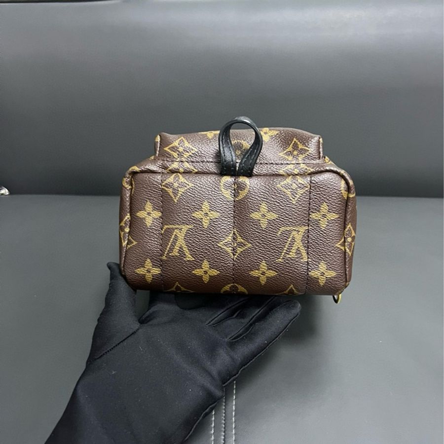 Louis Vuitton Palm Spring mini 迷你背包-5