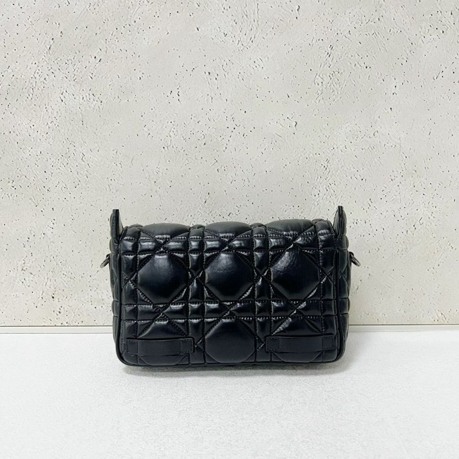 Dior small camp-1