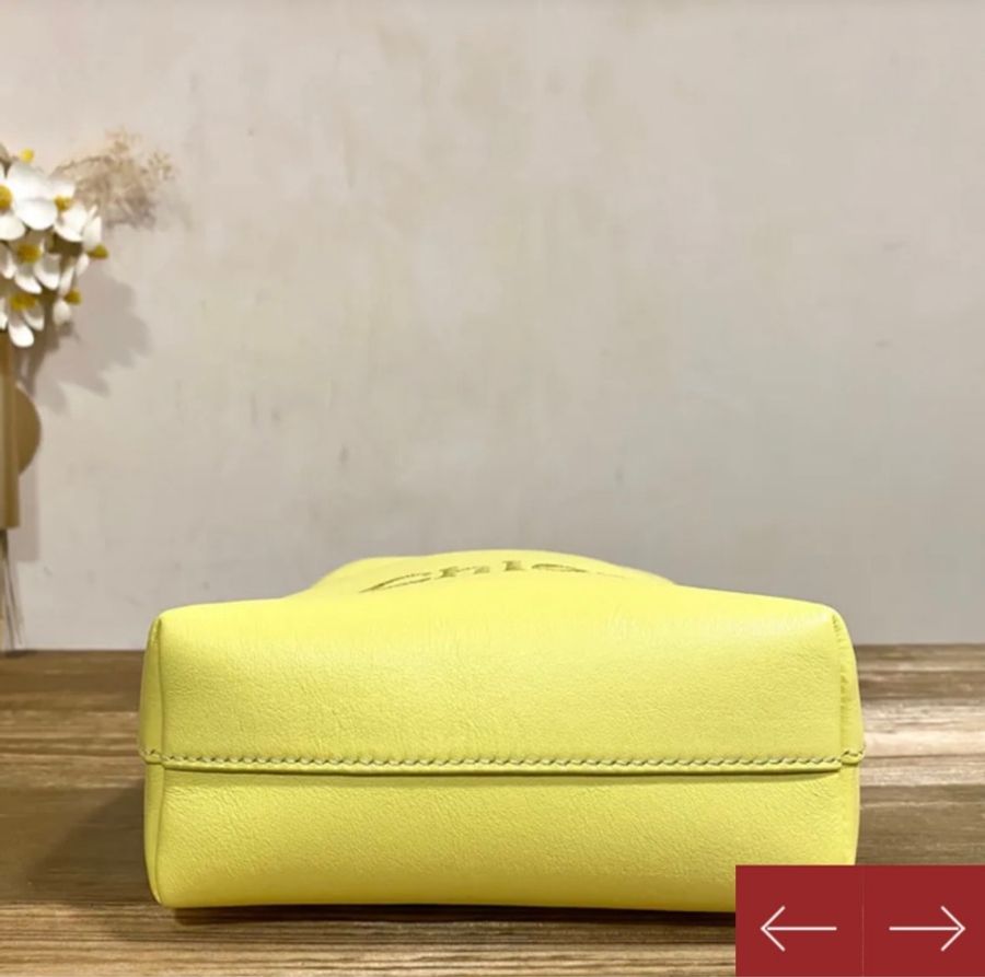 Chloe 小雞黄色斜背包 手機包-2