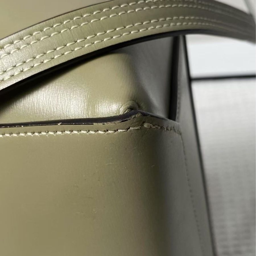 Celine mini belt bag 鯰魚包 大號-9