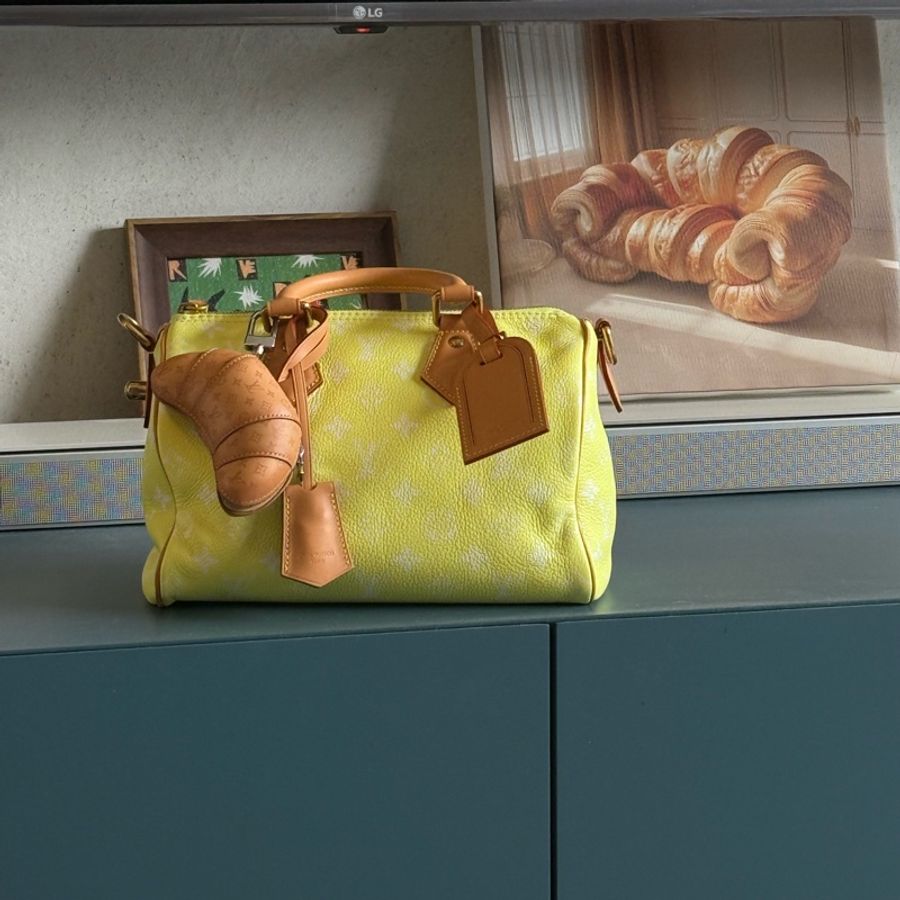 LV SPEEDY 25 p9 m13902-2