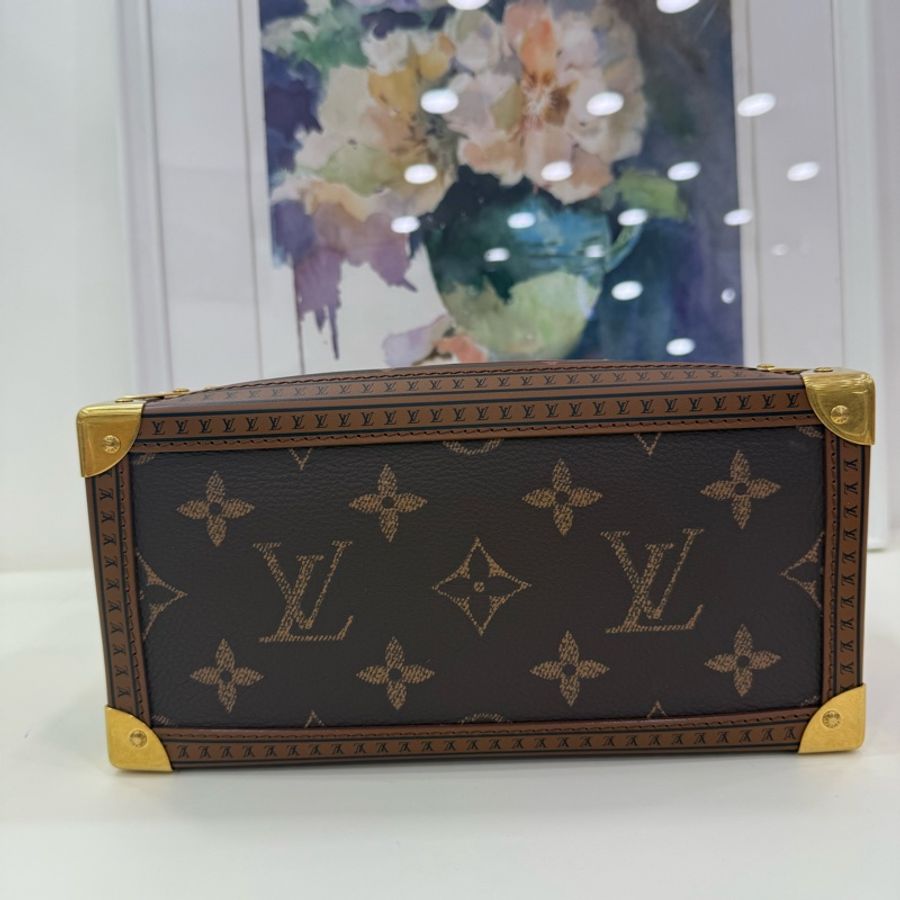 Louis Vuitton LV SQUEEZE TRUNK  M13930/經典老花包 全新 25年新款 新鮮熱辣-8