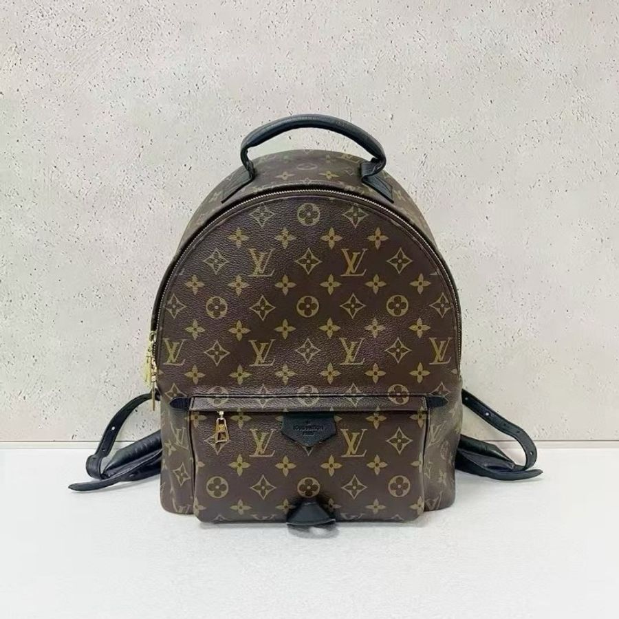 Louis Vuitton Palm Springs backpack medium-4