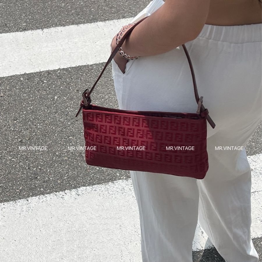 🏷️ Fendi Hobo-2