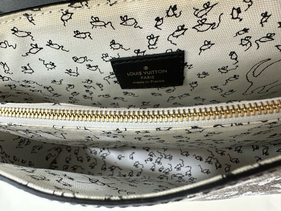 louis vuitton grace coddington 系列限量貓貓包 閒置成色 絕對限量 极度罕有 貓奴富婆地位象徵-6