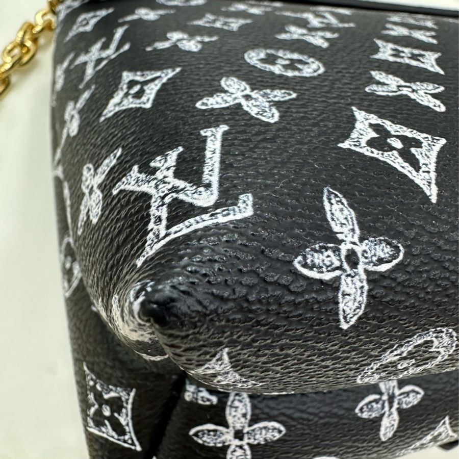 louis vuitton grace coddington 系列限量貓貓包 閒置成色 絕對限量 极度罕有 貓奴富婆地位象徵-12